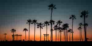 Los Angeles